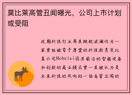 莫比莱高管丑闻曝光，公司上市计划或受阻