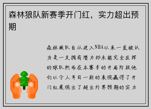 森林狼队新赛季开门红，实力超出预期